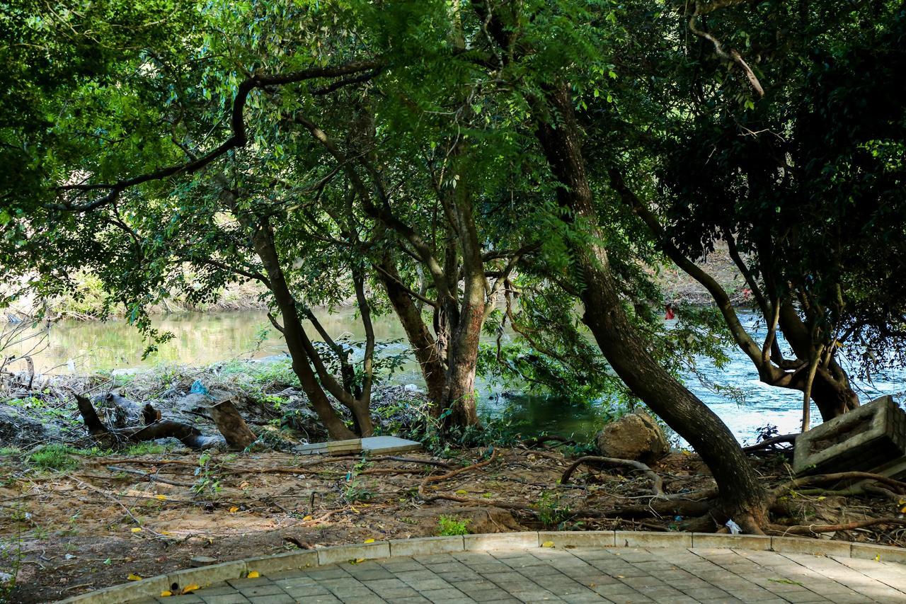 Malwathu Oya Caravan Park Bed and Breakfast Anuradhapura Eksteriør billede